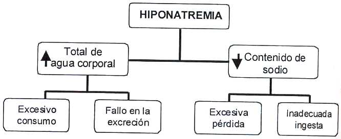 Factores que contribuyen al desarrollo de hiponatremia asociada al ejercicio 