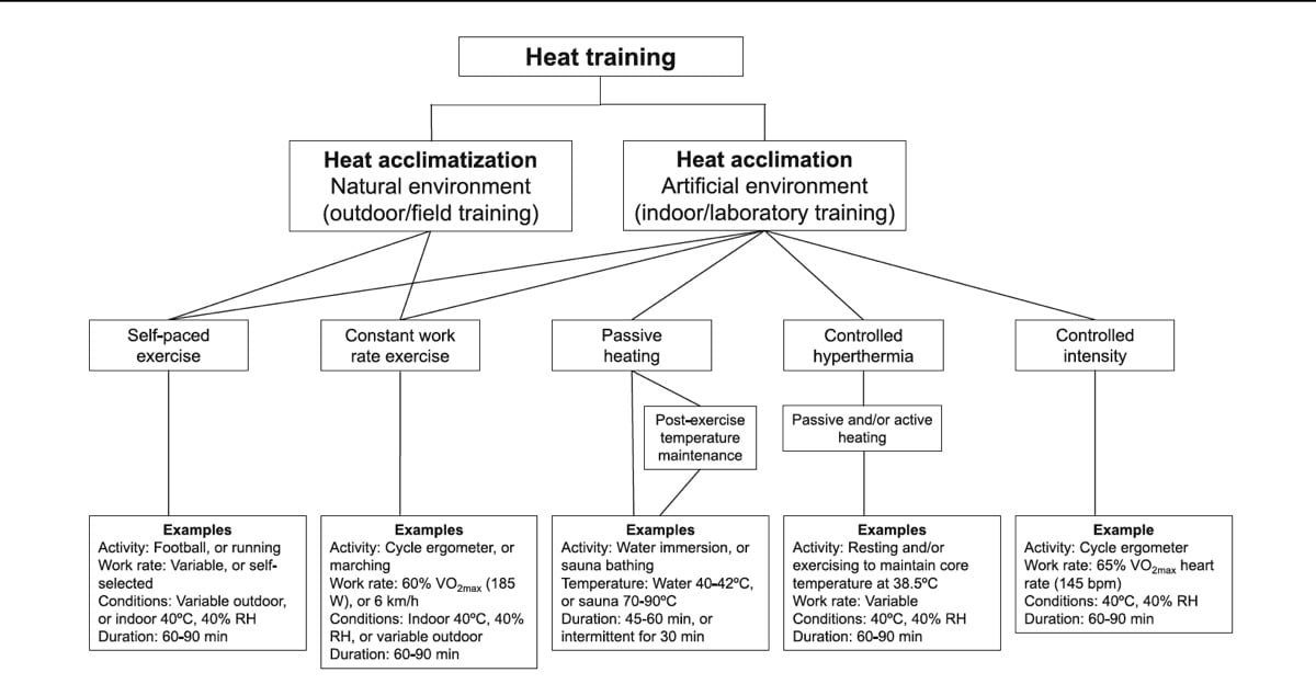 Múltiples modalidades efectivas de aclimatación al calor que incluyen recomendaciones de actividad, duración y temperatura (12).