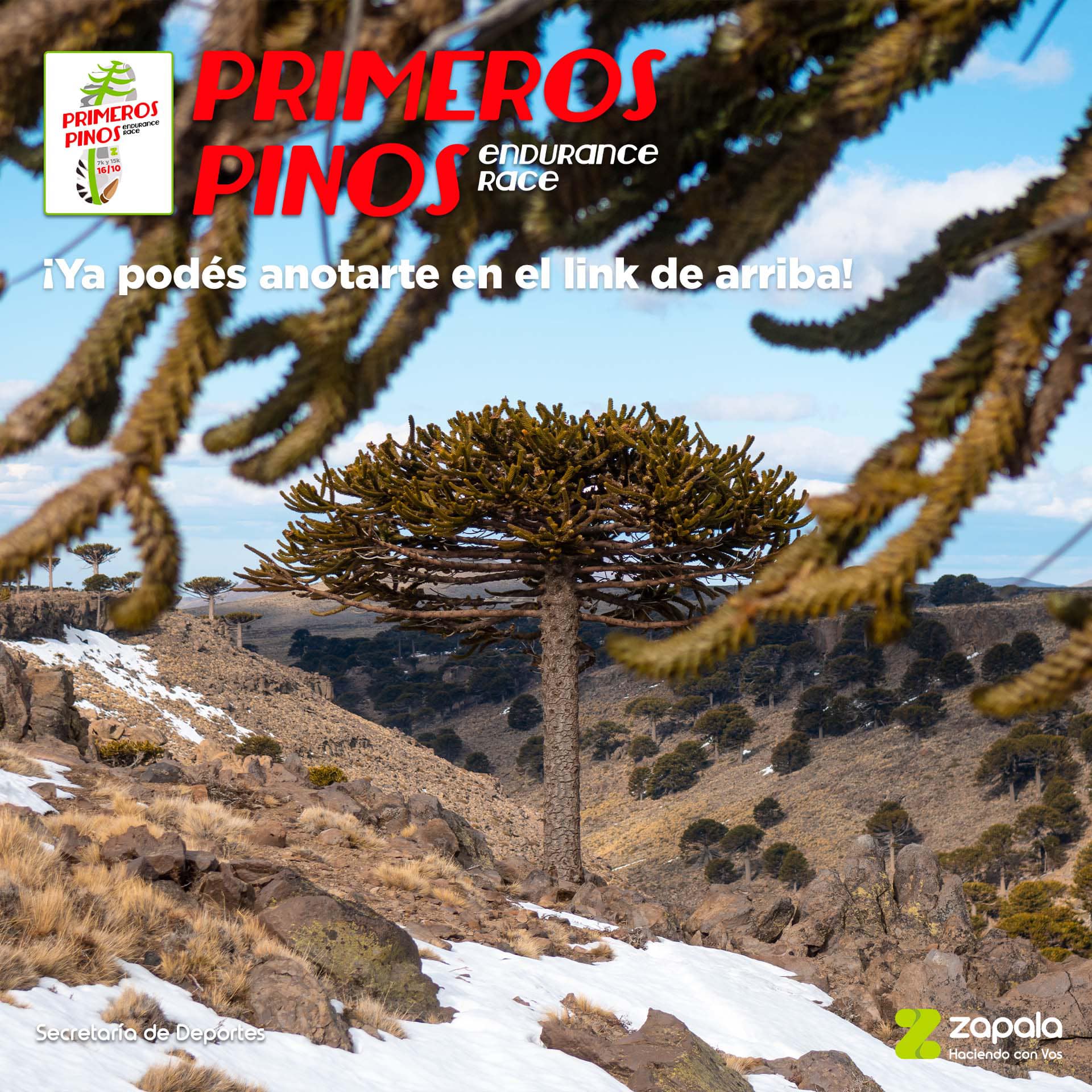 PRIMEROS PINOS ENDURANCE RACE 2025