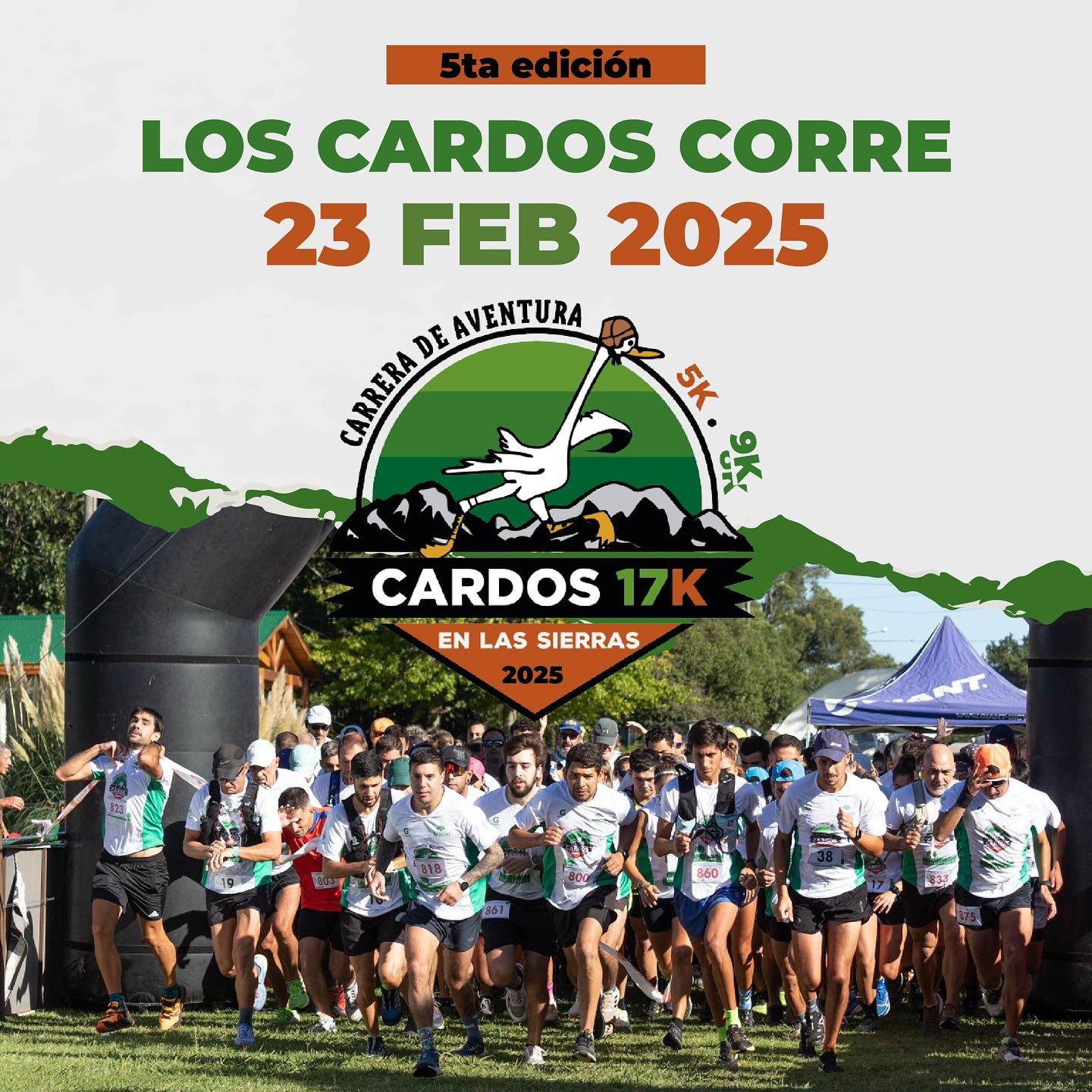 LOS CARDOS CORRE